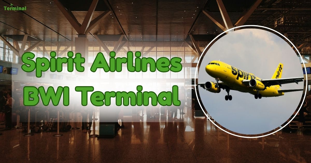 Spirit Airlines Terminal At Baltimore Marshall Airport (BWI)